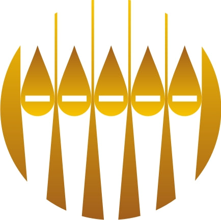 ANZCO 10th Anniversary Gala NextGen Celebration